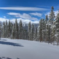 Featured Image 14