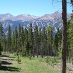 Featured Image 03